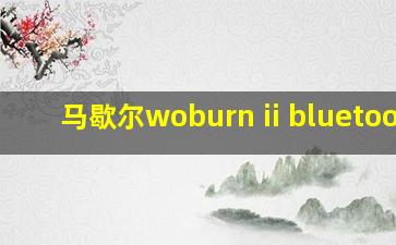 马歇尔woburn ii bluetooth